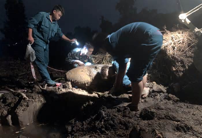 Phát hiện quả bom dài 1,2m, nặng 350 kg ở huyện Bình Chánh, TPHCM