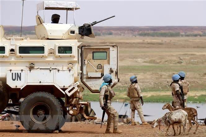Mali: Đánh bom nhằm vào nhân viên LHQ, ít nhất 7 người bị thương