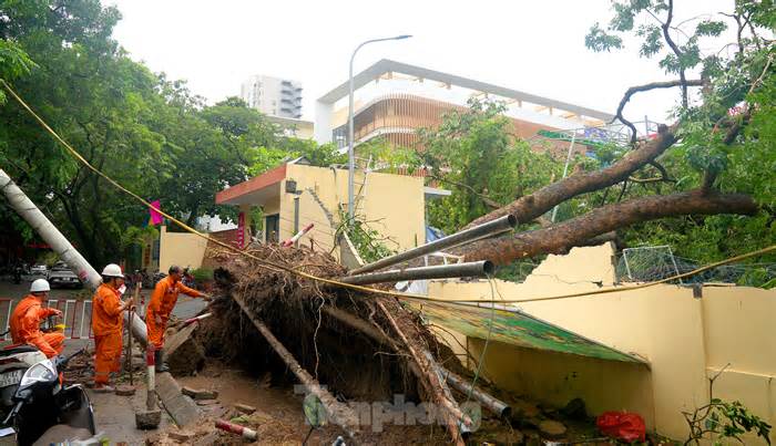 Trường học tại Hà Nội tốc mái, cây xanh đổ gãy tan hoang sau bão