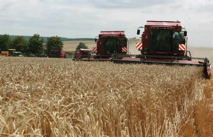 EU mở đường vận chuyển toàn bộ ngũ cốc Ukraina thay tuyến Biển Đen