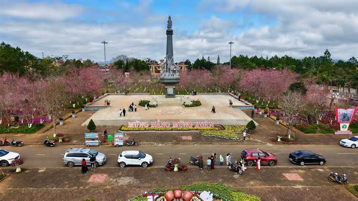 Măng Đen sẽ trở thành thị trấn mai anh đào