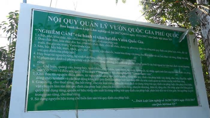 Người đứng đầu chịu trách nhiệm nếu để cháy rừng lớn, vi phạm lấn chiếm rừng