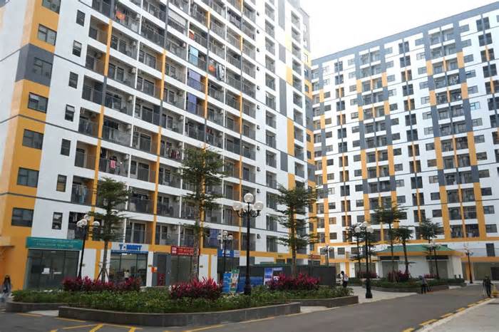 Hải Phòng xử lý nghiêm trường hợp môi giới trái phép nhà ở xã hội