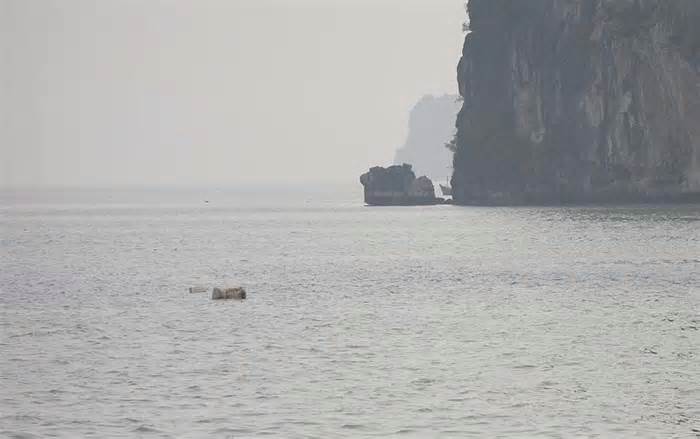 Tìm kiếm 3 người Quảng Ninh mất tích do tàu đắm tại vùng biển Hải Phòng