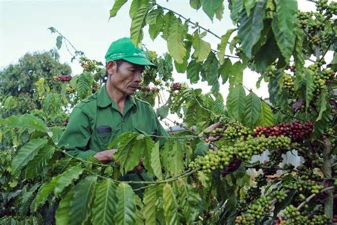 Lâm Đồng triển khai hoạt động khuyến công rộng khắp xã và huyện