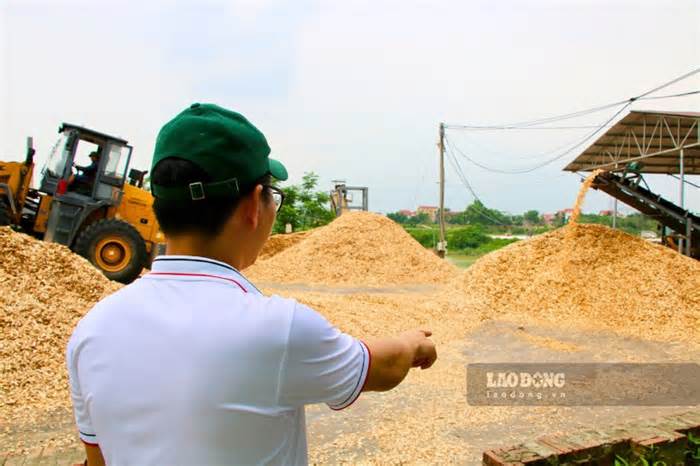 Hàng chục hộ dân lo lắng, bất an khi sống cạnh xưởng gỗ ở Thái Nguyên