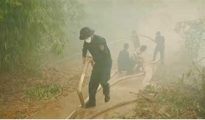 Vụ cháy tại Vườn Quốc gia Tràm Chim: Những chiếc bẫy chuột là căn cứ, manh mối