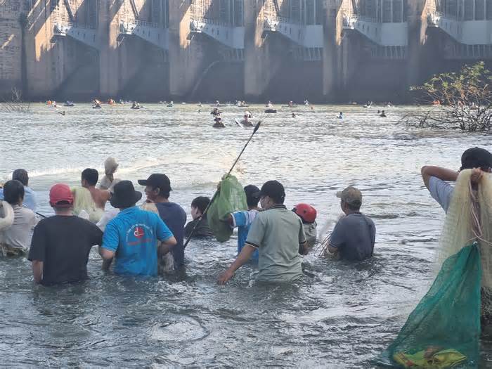 Người dân trúng cá to, bán tiền triệu sau khi thủy điện Trị An ngưng xả nước lần 3