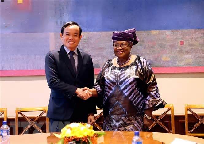 Phó Thủ tướng Trần Lưu Quang gặp lãnh đạo các nước và tổ chức quốc tế