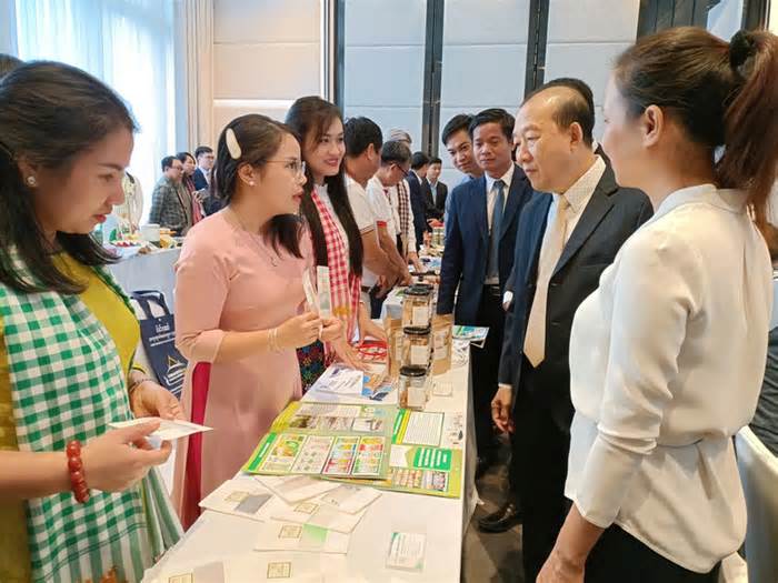 Xúc tiến thương mại, xuất nhập khẩu khu vực phía Nam với đối tác Campuchia