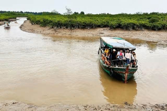 Cấm trường học ở Hà Nội tổ chức hoạt động trải nghiệm tự phát