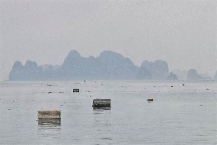 Ban quản lý vịnh Hạ Long nói 'không thể tránh khỏi' rác