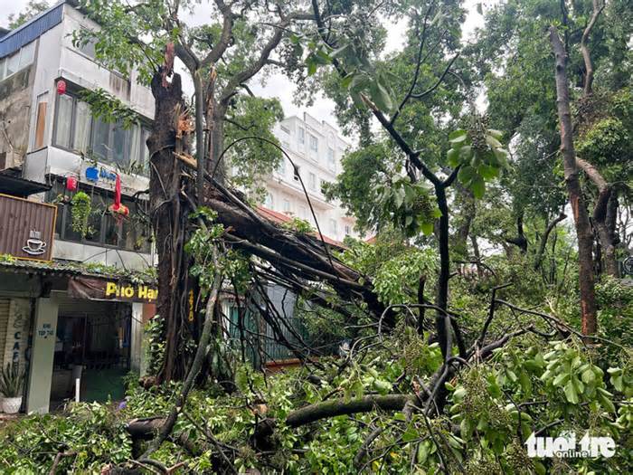 Hà Nội thêm một người chết do bão số 3, hơn 25.000 cây xanh gãy đổ