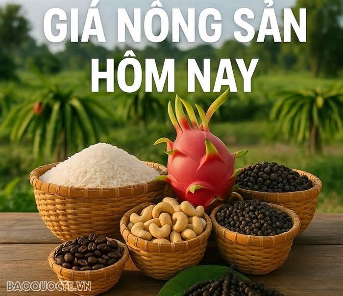 Giá nông sản hôm nay 5/2/2026: Giá cà phê đỏ rực, ngưỡng hỗ trợ quan trọng bị xuyên thủng; Thủ tướng gỡ vướng ngay Nghị định 46 về an toàn thực phẩm