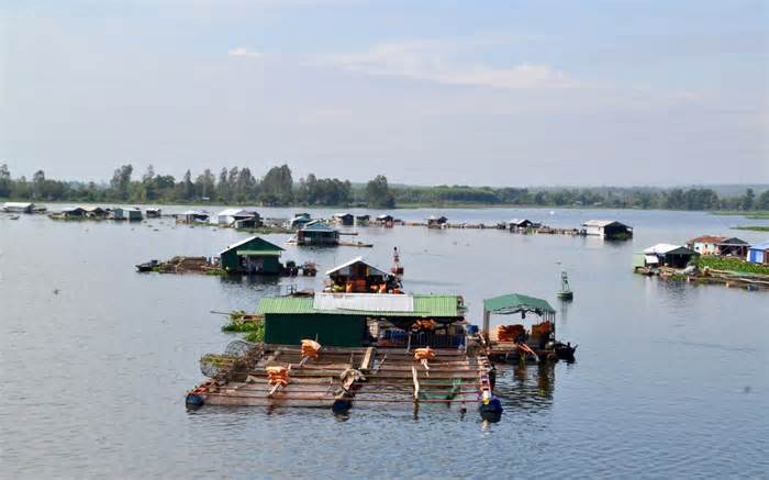 Đổ thuốc bảo vệ thực vật bắt tôm sông Đồng Nai là đầu độc 20 triệu dân