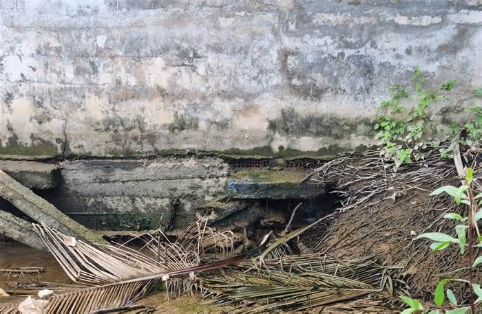 Bến Tre: Trên 10 năm sống bên bờ sông sạt lở