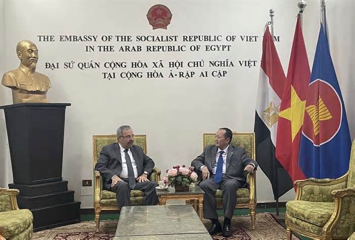 Đại sứ Nguyễn Huy Dũng tiếp Đại sứ Syria tại Ai Cập và Liên đoàn Arab
