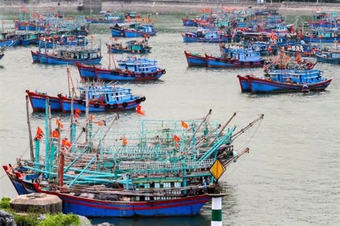 Ứng phó bão số 1, Quảng Ninh chỉ đạo sẵn sàng cấm biển khi có yêu cầu