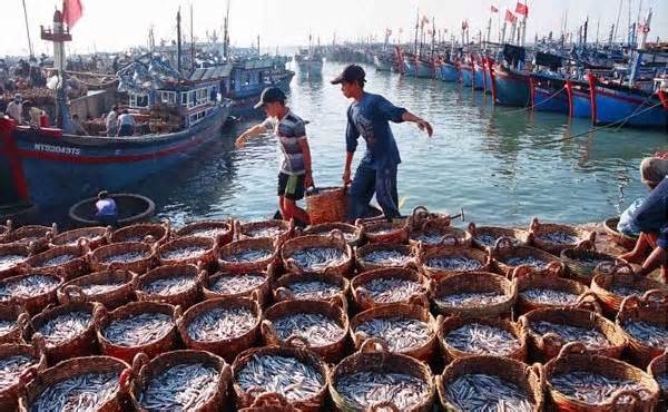 Tiền Giang thực hiện tốt các khuyến nghị của EC về phòng, chống IUU