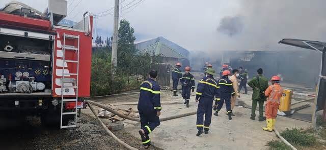Cháy dữ dội tại cơ sở sản xuất nấm rộng hơn 3ha ở Lâm Đồng