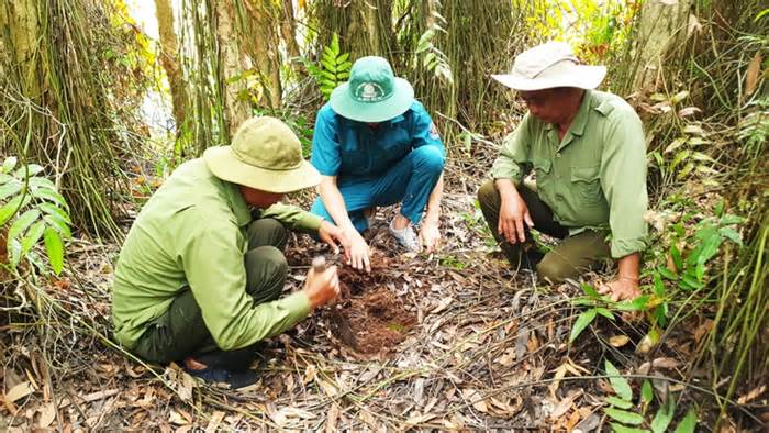 Cà Mau làm đường băng cản lửa để phòng cháy, chữa cháy rừng