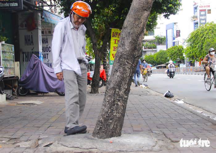 Hàng loạt cây xanh 'thoi thóp', bị bê tông vây chặt gốc trên đường Nguyễn Thái Sơn