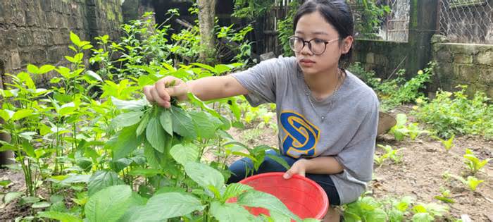 Nữ sinh nghèo nhất khu phố muốn học đại học thay đổi số phận