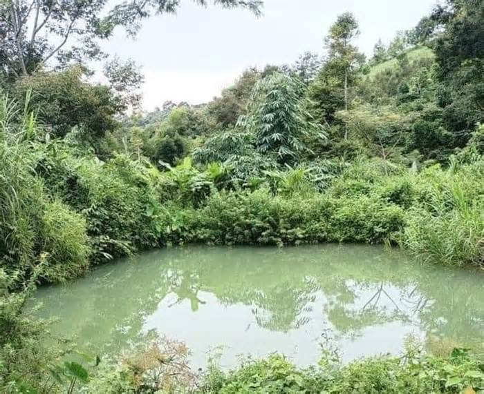 Bốn trẻ nhỏ ở Đắk Nông chết đuối khi tắm hồ