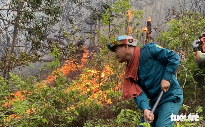 Vụ cháy rừng ở Nghệ An: Công an làm việc với 4 người đốt lửa