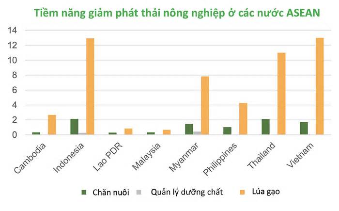 Triển vọng bán tín chỉ carbon lúa đến đâu?