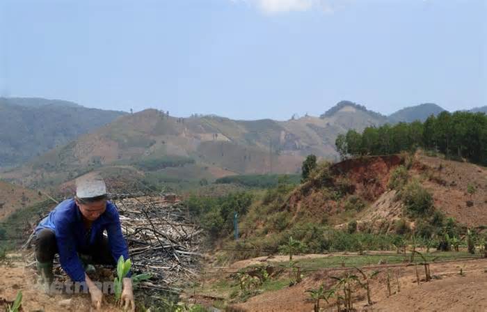 Thanh Hóa: Hỗ trợ trên 20.000 hộ dân thiếu đất sản xuất và đất ở
