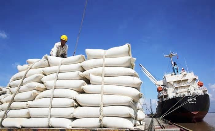 Lãnh đạo Cục Trồng trọt: 'Nguồn hàng lúa gạo trong nước vẫn dồi dào'