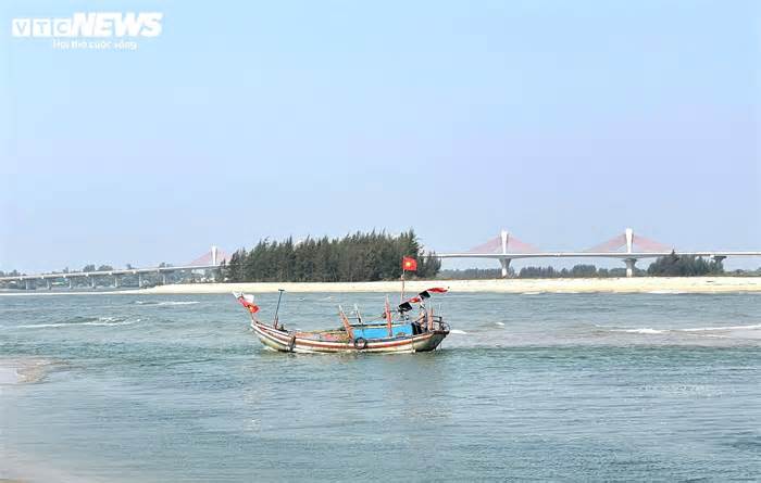 Ruốc xuất hiện dày đặc ở vùng biển gần bờ, ngư dân Quảng Ngãi trúng đậm