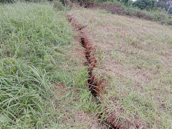 Xuất hiện vết nứt rộng cả gang tay, dài gần 50m trên đồi ở Quảng Nam