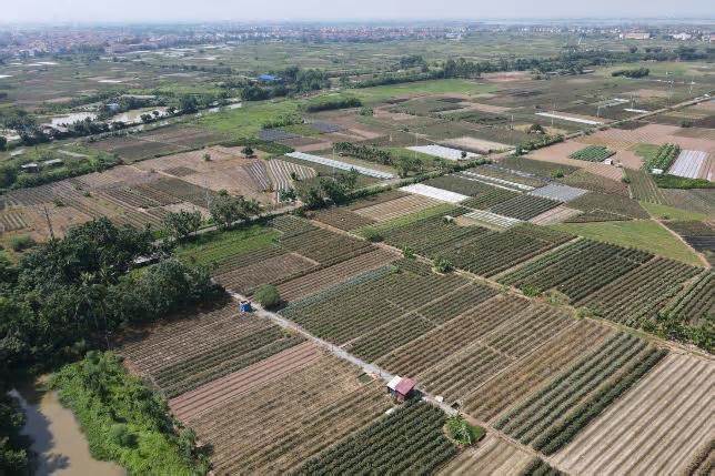 53 lô đất sắp được đấu giá quyền sử dụng ở huyện Mê Linh