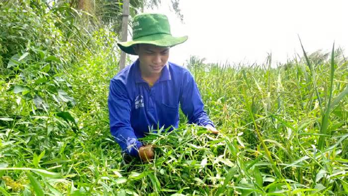 Học bổng chắp cánh ước mơ: Cậu học trò quyết tâm học giữa mái nhà xơ xác, cột kèo ngả nghiêng