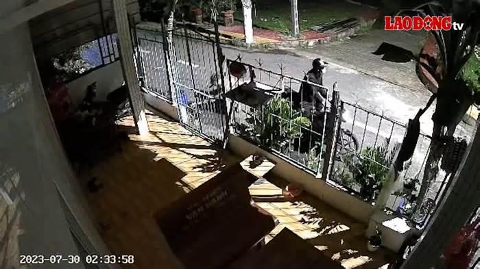 Camera bắt khoảnh khắc 2 thanh niên trộm chó chỉ trong 10 giây