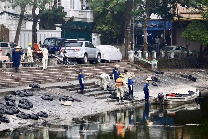 Hà Nội: Cá lại chết hàng loạt ở hồ Hoàng Cầu do sốc nhiệt