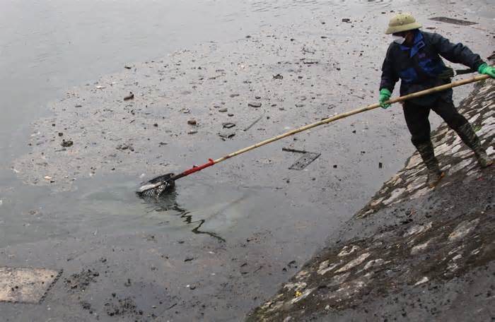 Hé lộ nguyên nhân cá ở hồ Bách Thủy Hợp chết hàng loạt