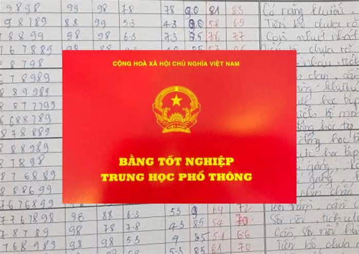 Một hiệu trưởng ở Hà Nội bị thu hồi bằng THPT vì gian lận