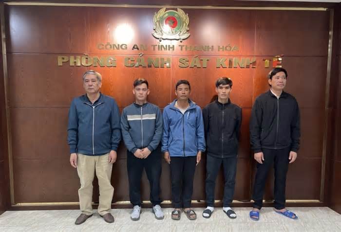 Khởi tố 5 người mua bán, vận chuyển heo bệnh dịch tả châu Phi