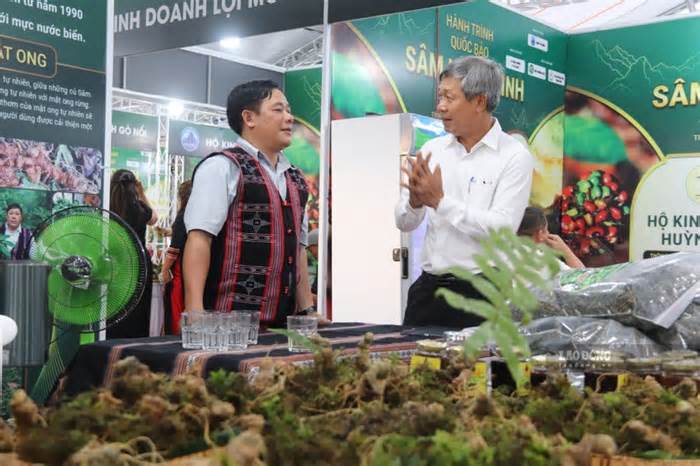 Hoàn tiền cho khách hàng nếu phát hiện sâm Ngọc Linh giả tại lễ hội quốc tế