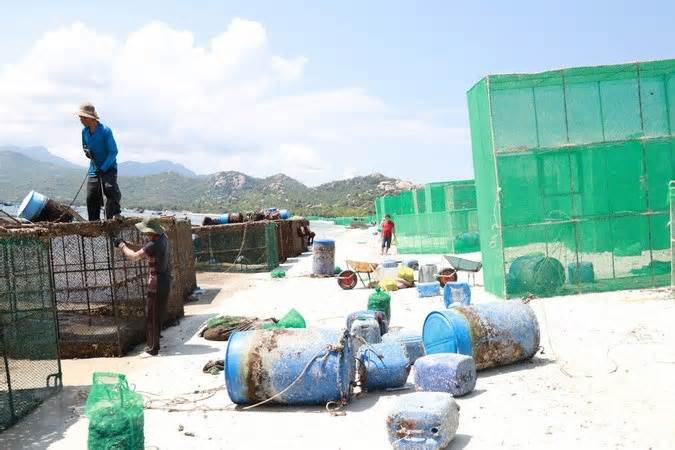 Khánh Hòa: Khẩn trương xử lý ô nhiễm môi trường biển ở Cam Ranh