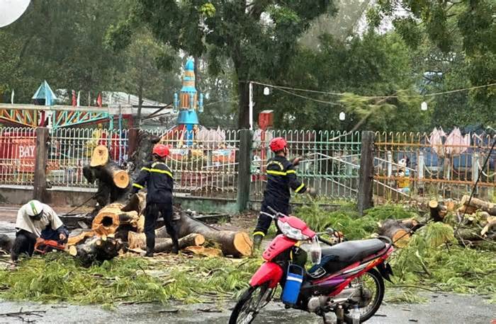Mưa dông làm cây điệp cổ thụ bật gốc, đè 2 người đi đường ở Cà Mau