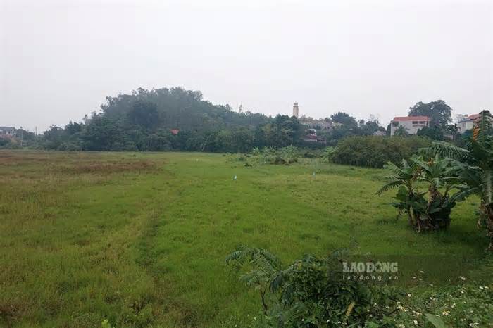Sẽ cưỡng chế thu hồi đất 7 hộ dân để xây dựng khu nhà ở đô thị ở Phú Thọ