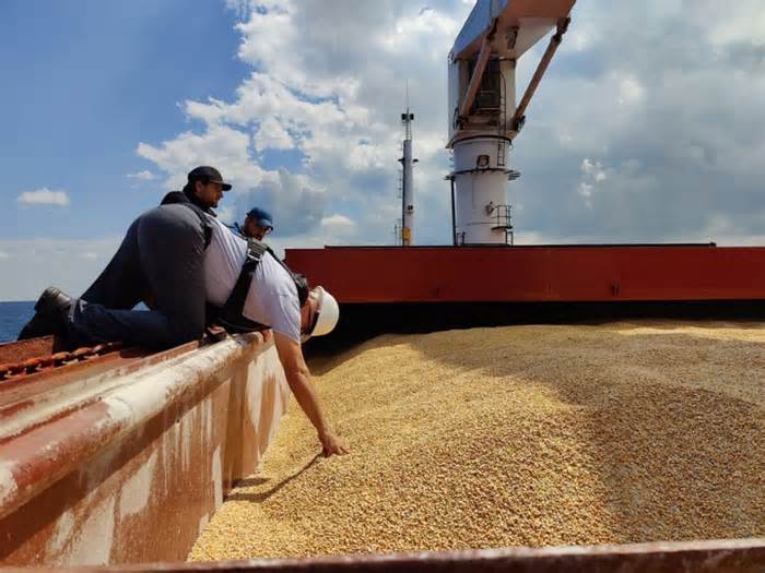 Ukraina cân nhắc tuyến đường mới ở Biển Đen để vận chuyển ngũ cốc
