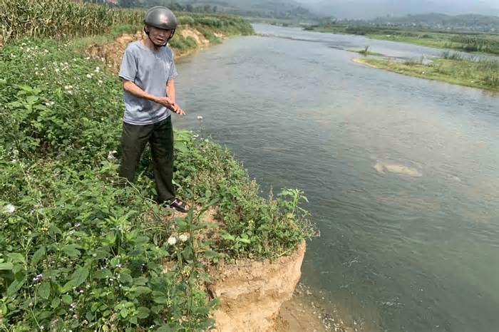 Sông đổi dòng gây sạt lở, nông dân lo bị cuốn trôi hết đất sản xuất