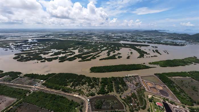 Một phụ nữ bị phạt nửa tỷ đồng vì lấn chiếm hơn 100.000m2 đất đầm