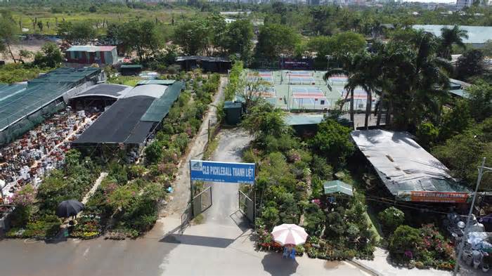 Cận cảnh đất dự án, đất nông nghiệp ‘biến hoá’ thành sân pickleball