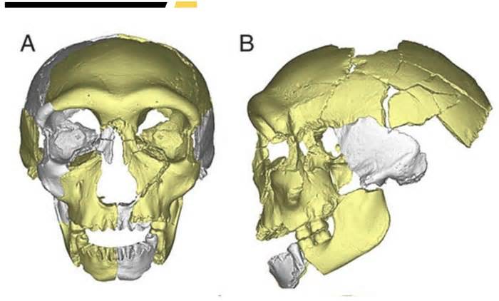 Khai quật hộp sọ cổ ở Trung Quốc của 'loài người thứ ba'